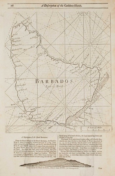 Thornton Barbados